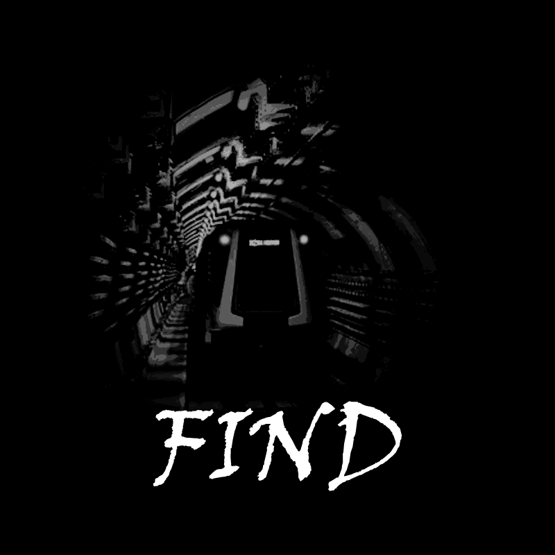 Find Game